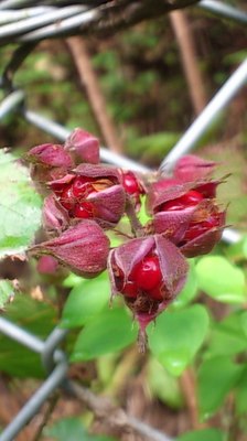 mini_181026_0743.JPG