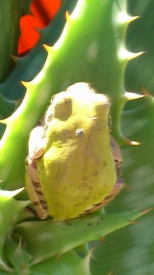 mini_181028_1306.JPG