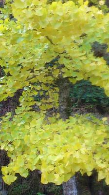 mini_181107_1033.JPG