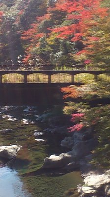 mini_181107_1102.JPG