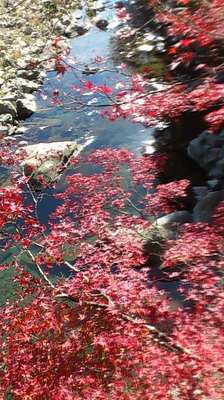 mini_181107_1104.JPG
